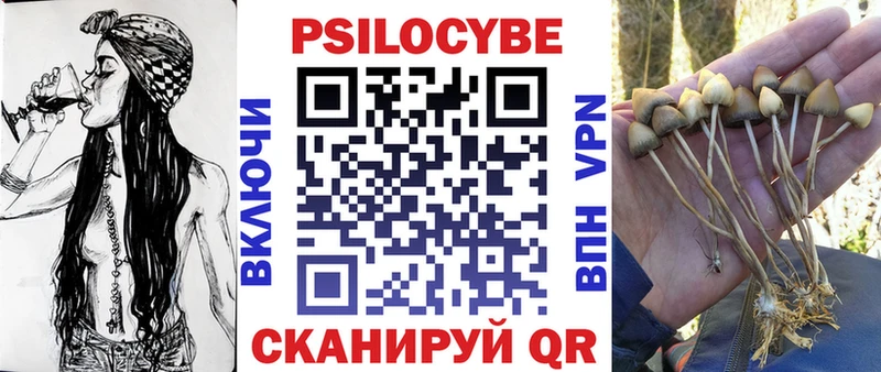 Псилоцибиновые грибы GOLDEN TEACHER Карабаново